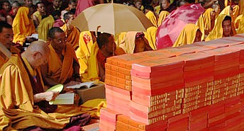 los monjes jovenes que lean en los nuevos libros del dharma proporcionaron en el Nyingma Monlam Chenmo
		